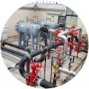 Daniel Walpole profile picture